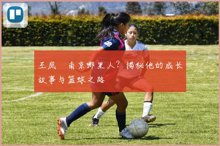 王岚嵚南京哪里人？揭秘他的成长故事与篮球之路